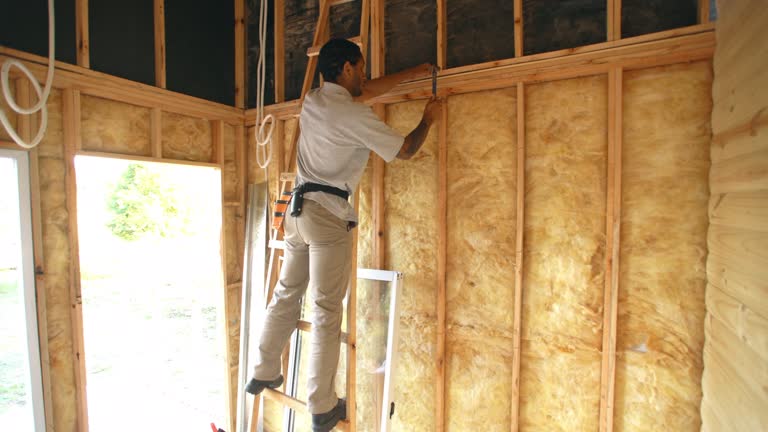 Best Basement Insulation  in Galena, IL