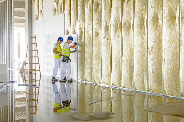 Best Crawl Space Insulation  in Galena, IL